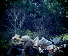 Вывоз мусора в Клинском районе 