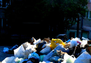 Вывоз мусора в Реутове